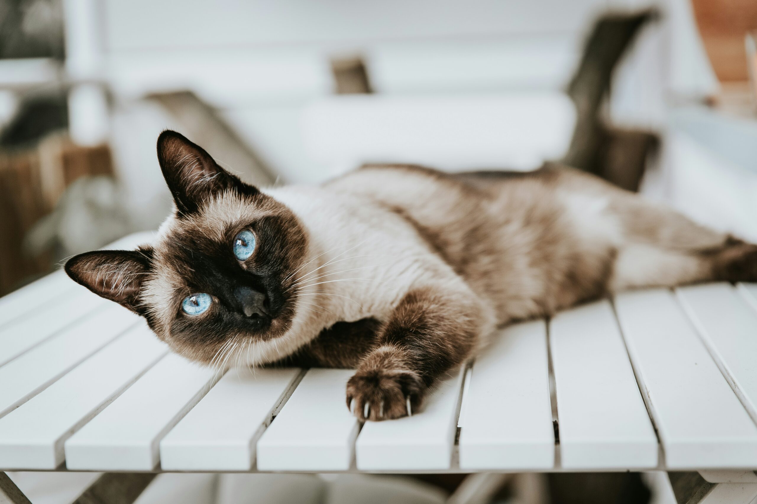 Alex Meier ZY97RvOiAOA Unsplash Scaled