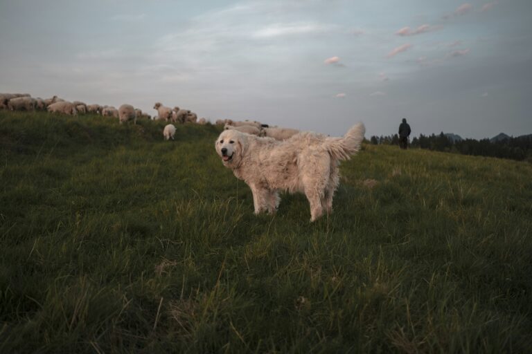 anastasia saldatava etphwolnj4s unsplash