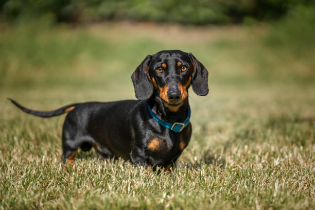 istockphoto 1864454893 612x612