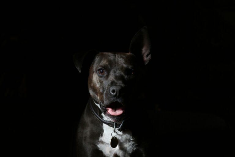 jaclyn clark uzo4kgbmcv4 unsplash