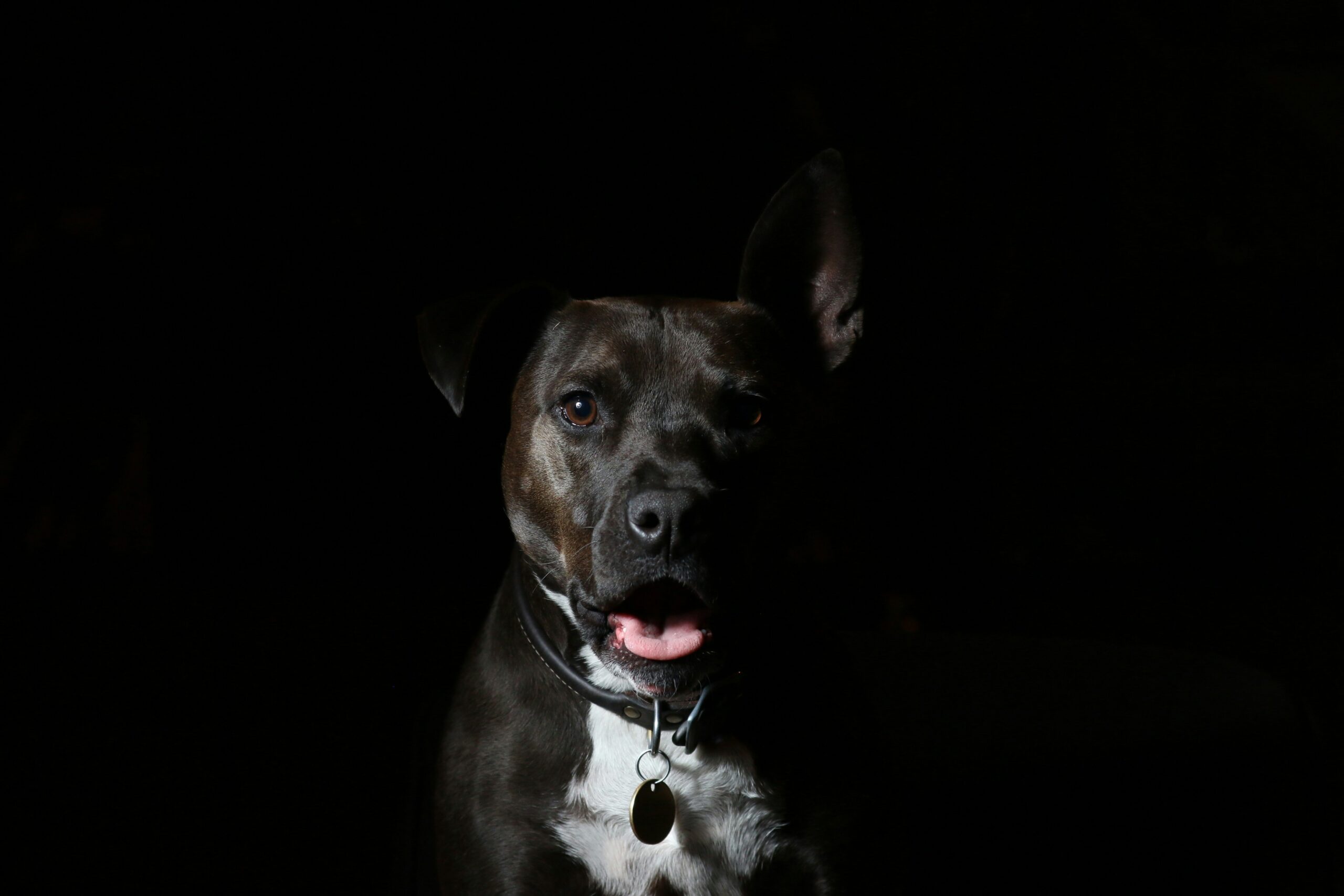 Jaclyn Clark UzO4kgBMCv4 Unsplash Scaled