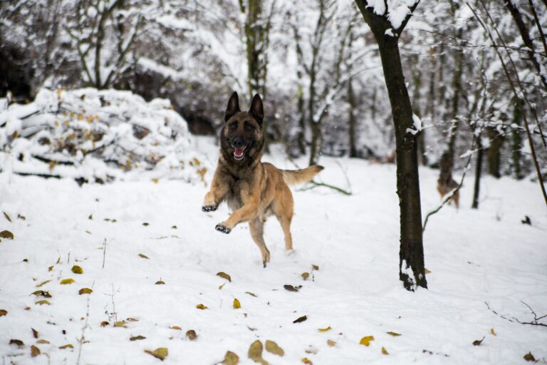 marko markovic w iozkdexja unsplash