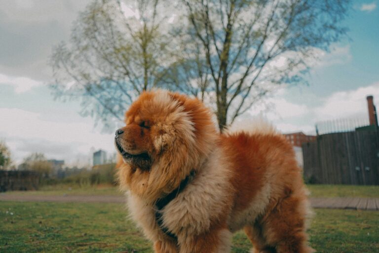 moujib aghrout 9tte3vttma0 unsplash