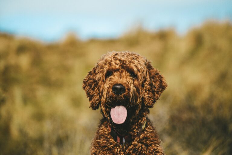thijs scheper y2jt9bafwb0 unsplash