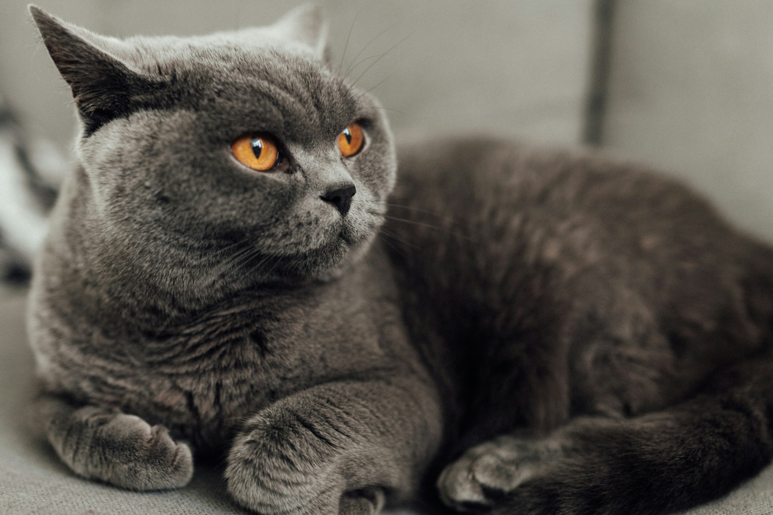 Look Again Digital 3oNWY7MeTiw Unsplash