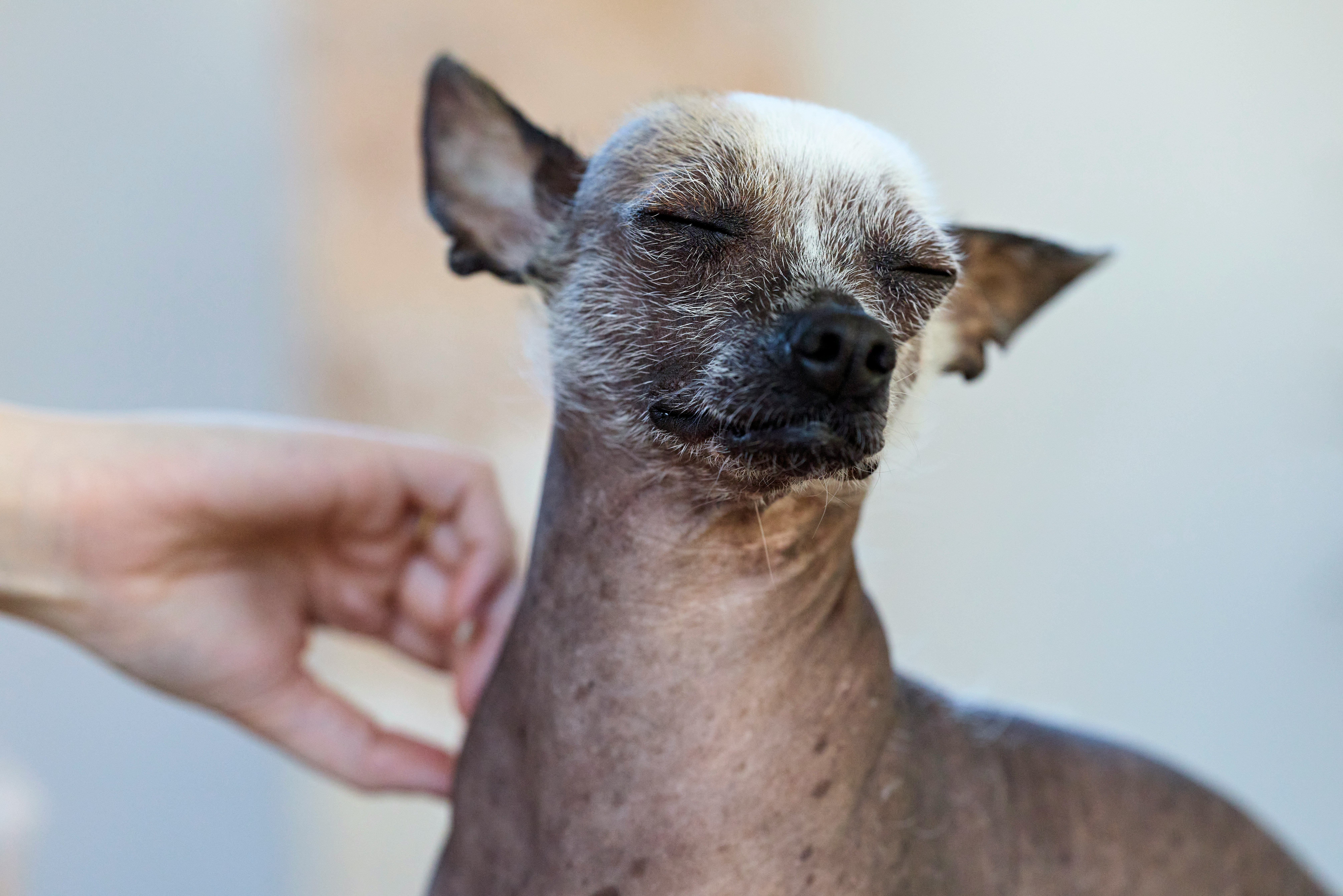 erwin bosman ucdy12jhjjs unsplash